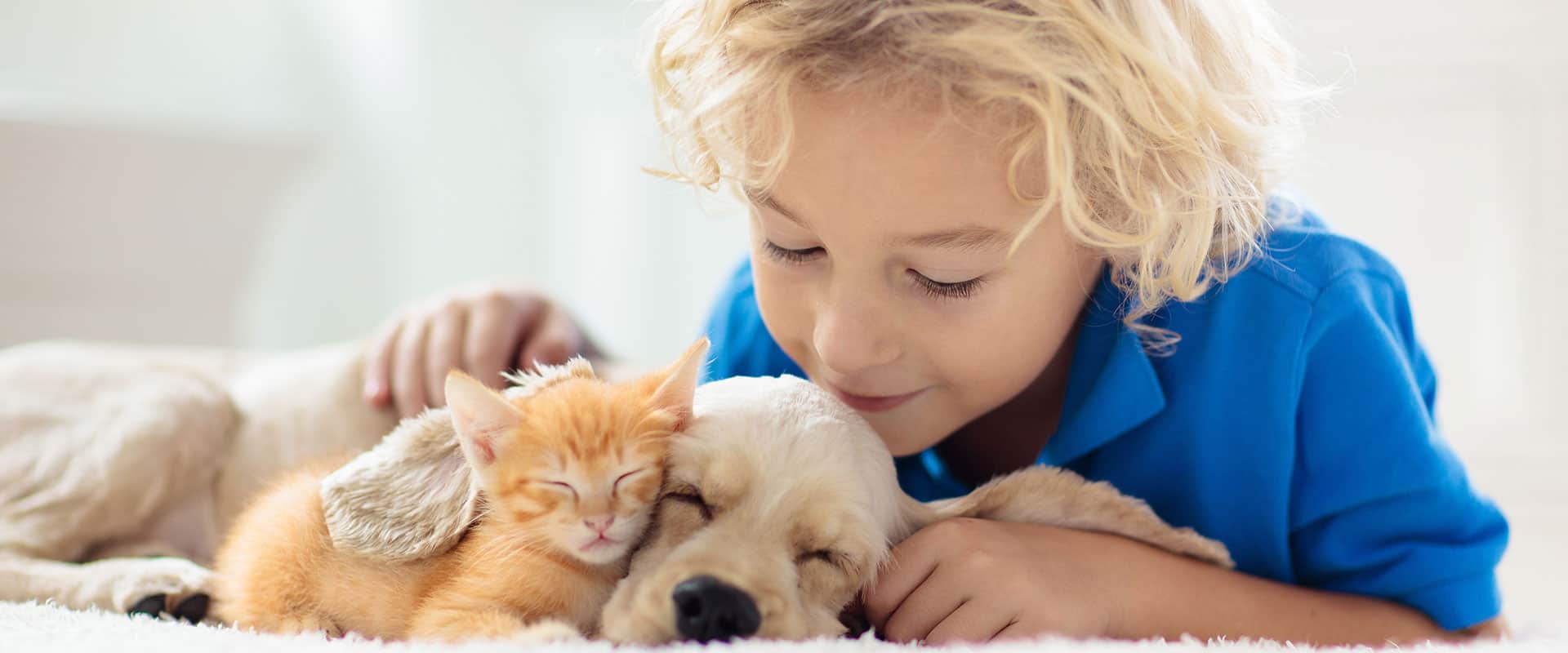 child with puppy and kitten